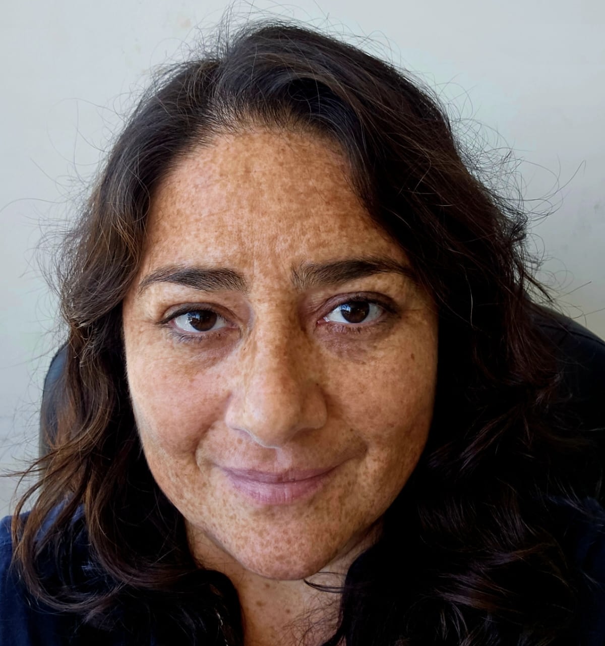 Isabel Rojas Zanforlin